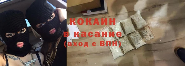 ешки Алексин