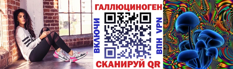 Купить где  Краснодар  Галлюциногенные грибы Psilocybe 